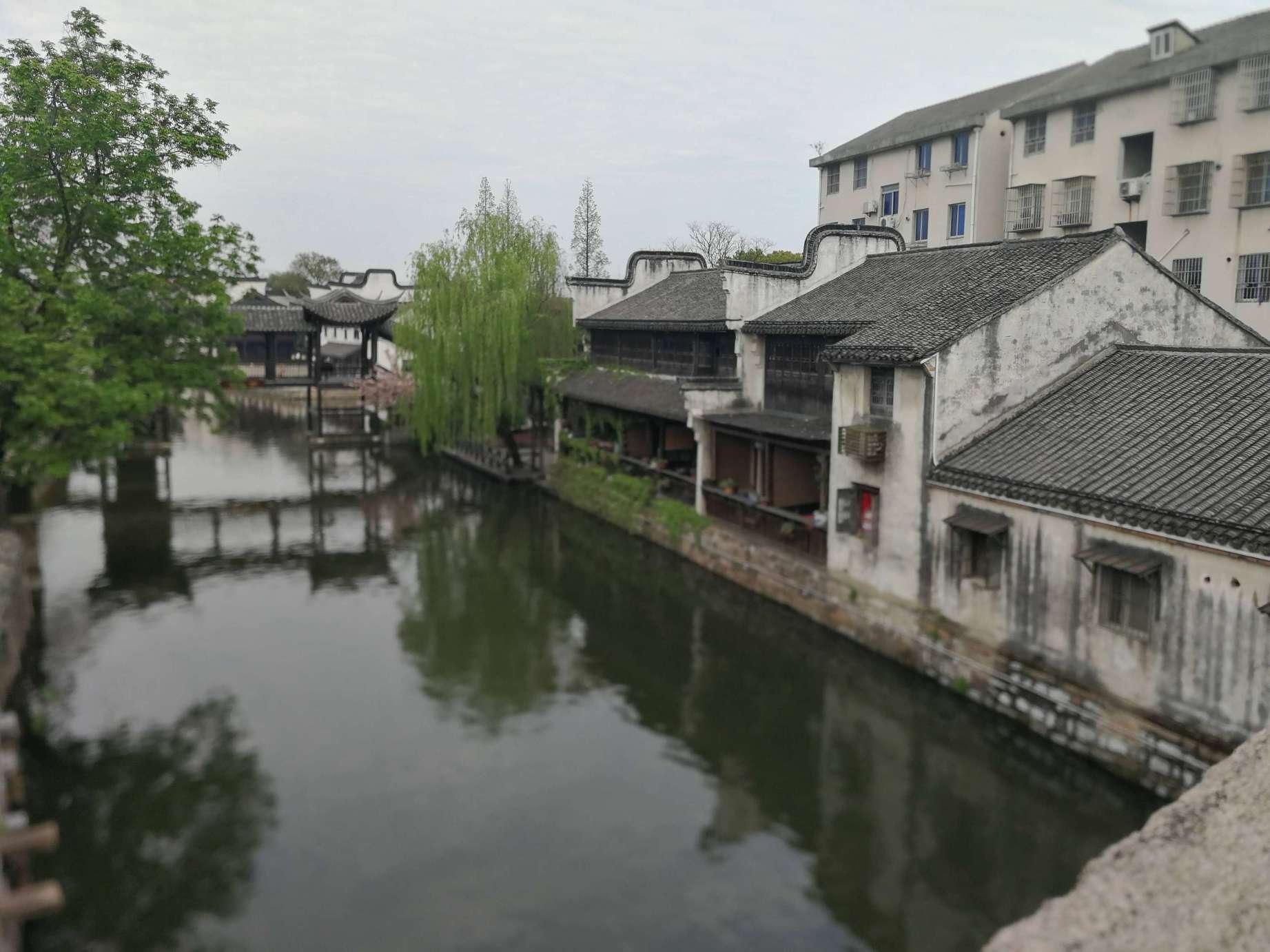 急速变色龙